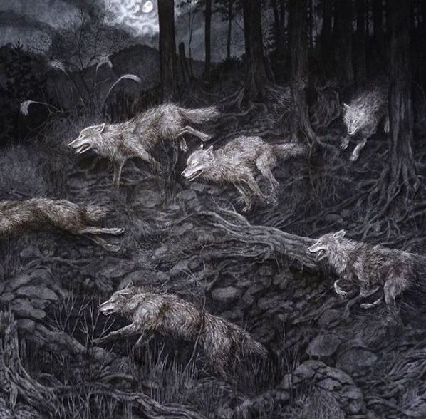 Sói là sứ giả thần linh, bảo vệ con người